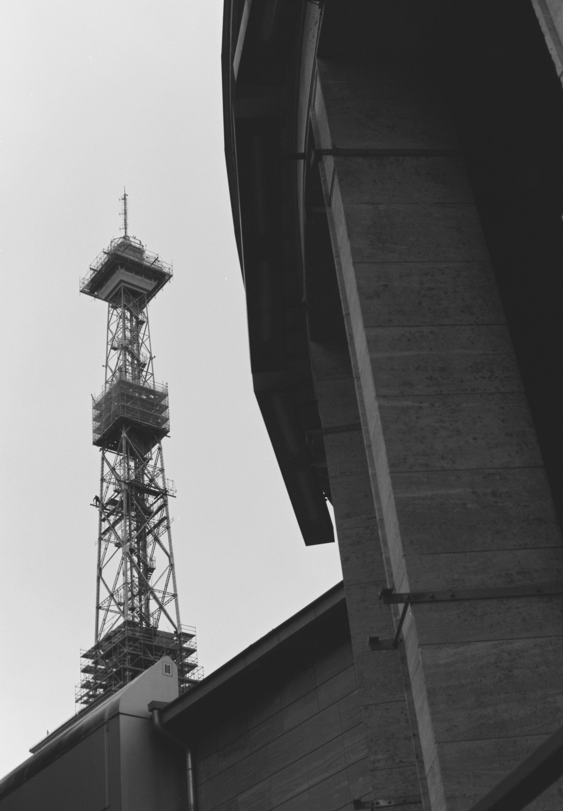 SLIM FIT COTTON SHIRT