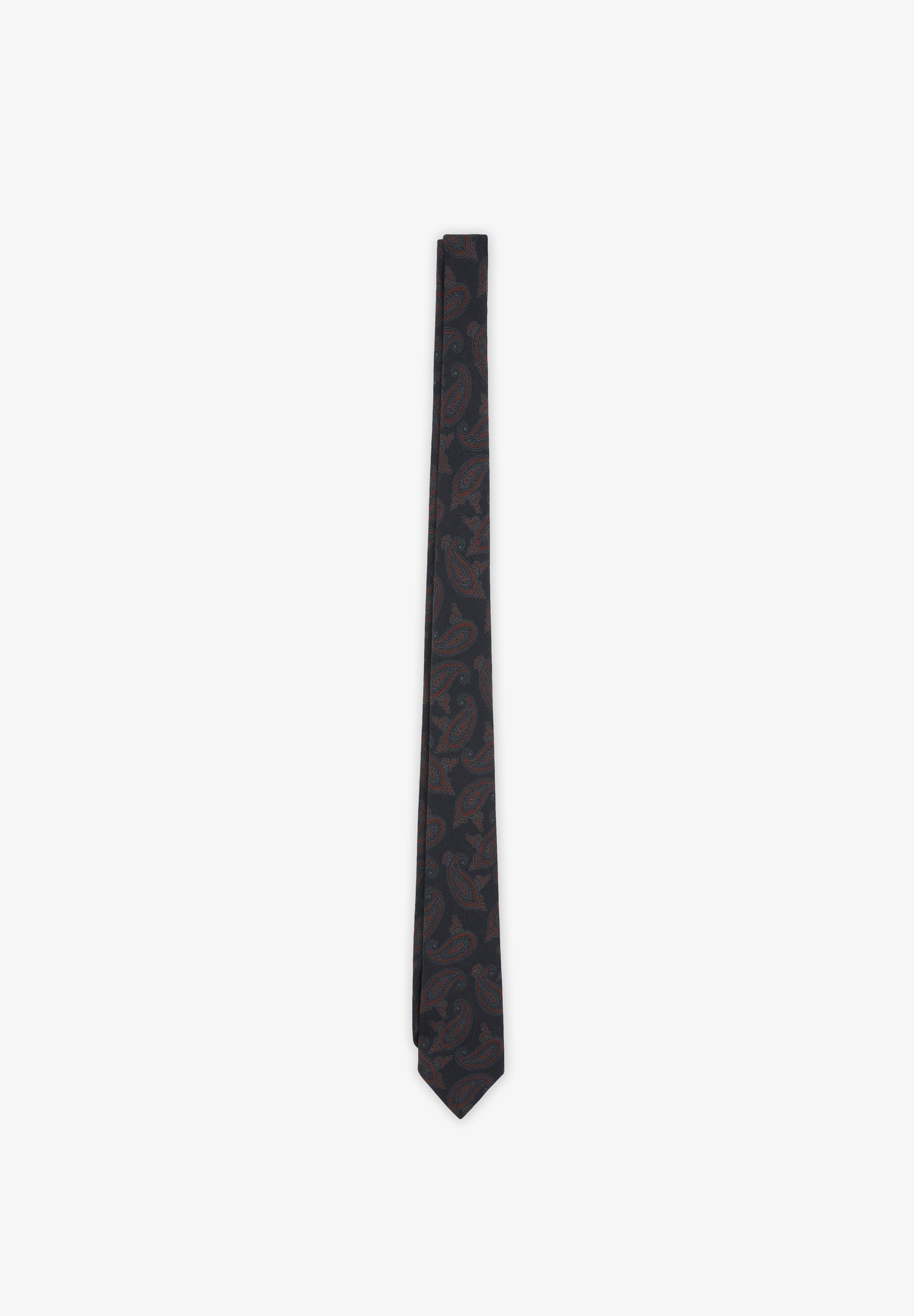 PAISLEY WOOL TIE