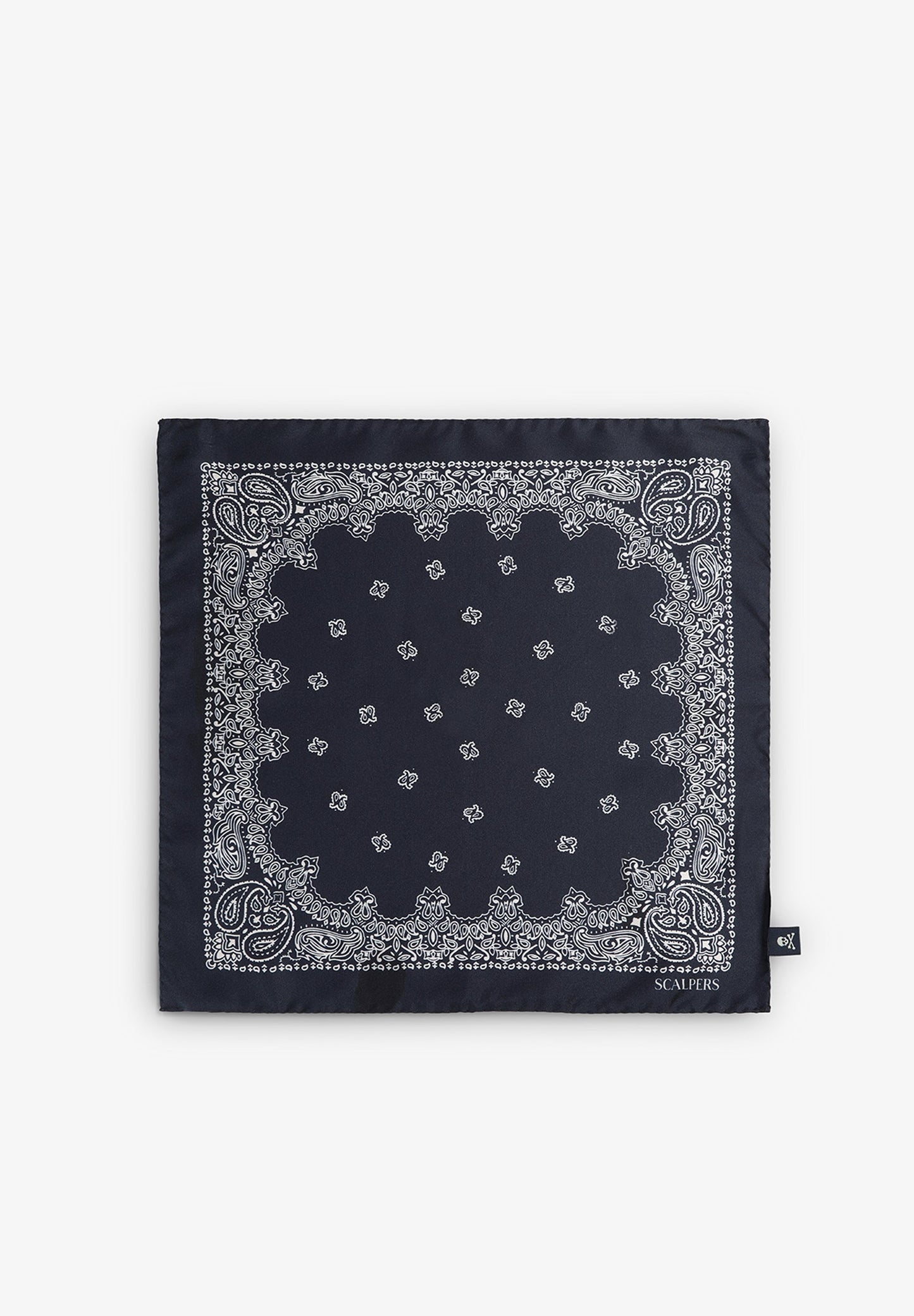 SILK PAISLEY PRINT POCKET SQUARE