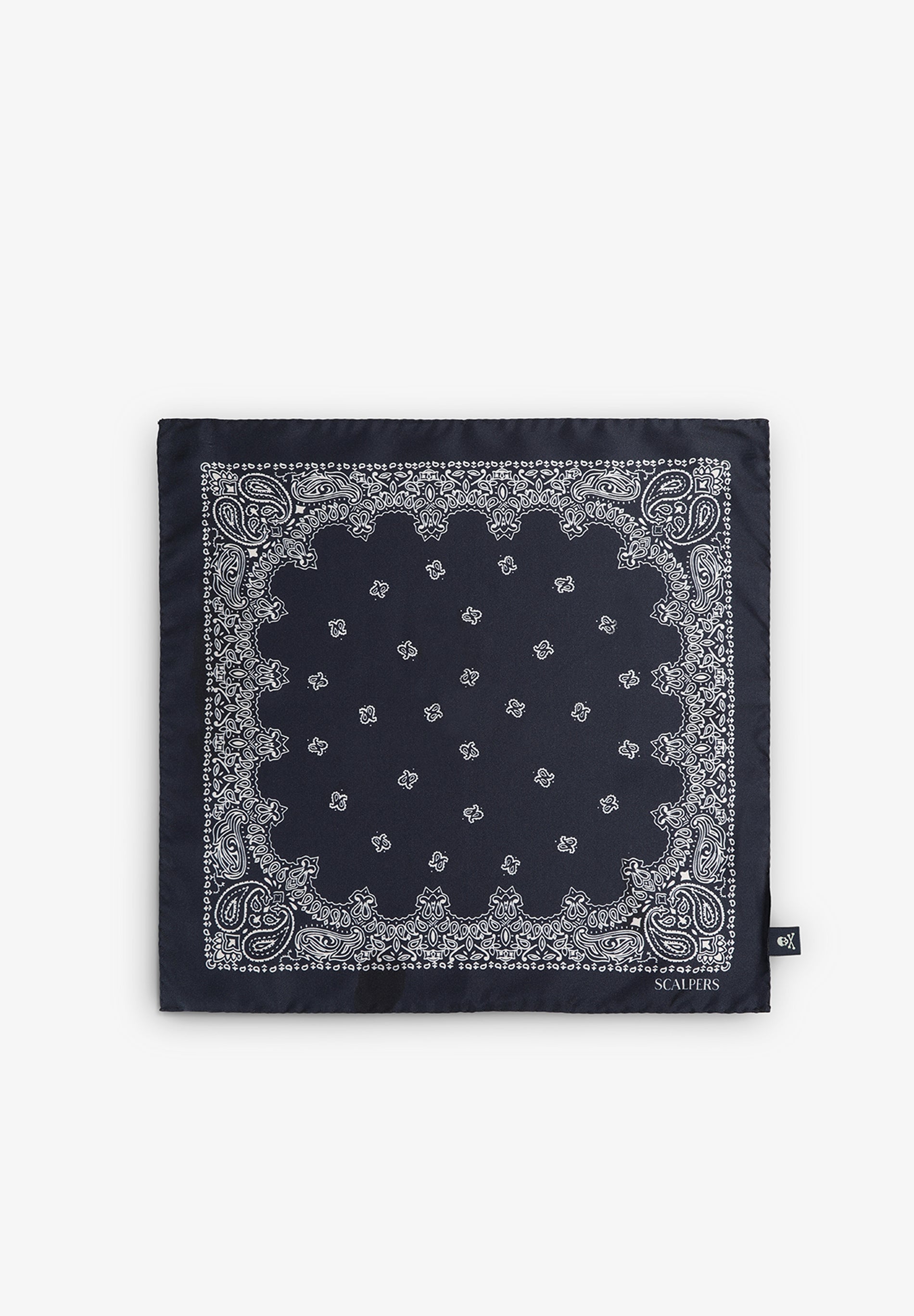 SILK PAISLEY PRINT POCKET SQUARE
