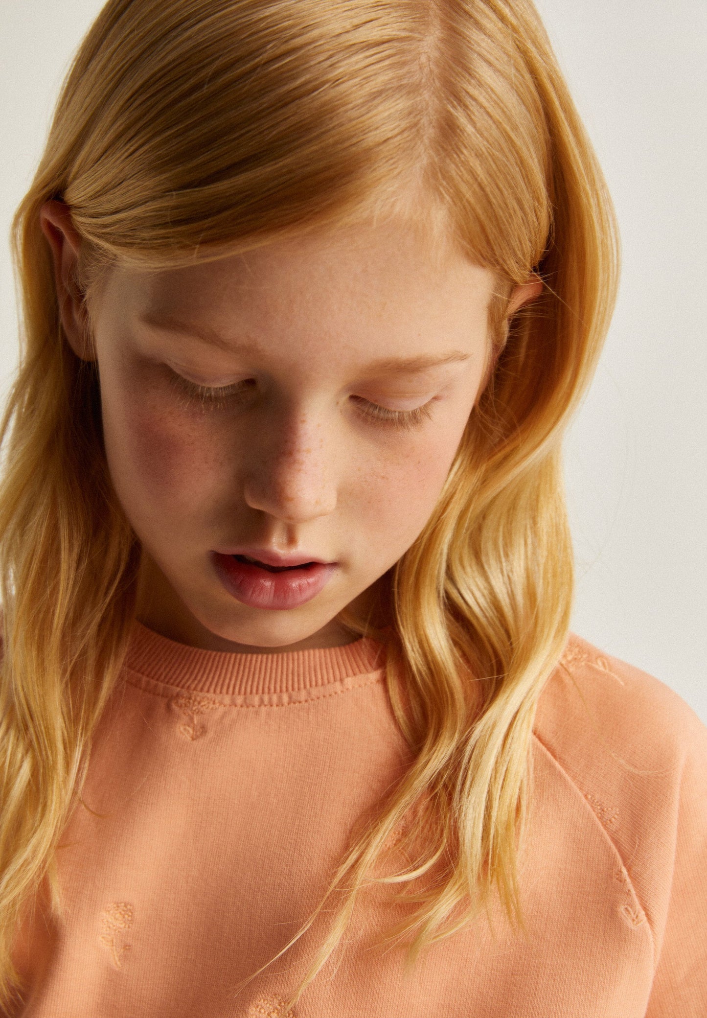 EMBROIDERED SWEATSHIRT