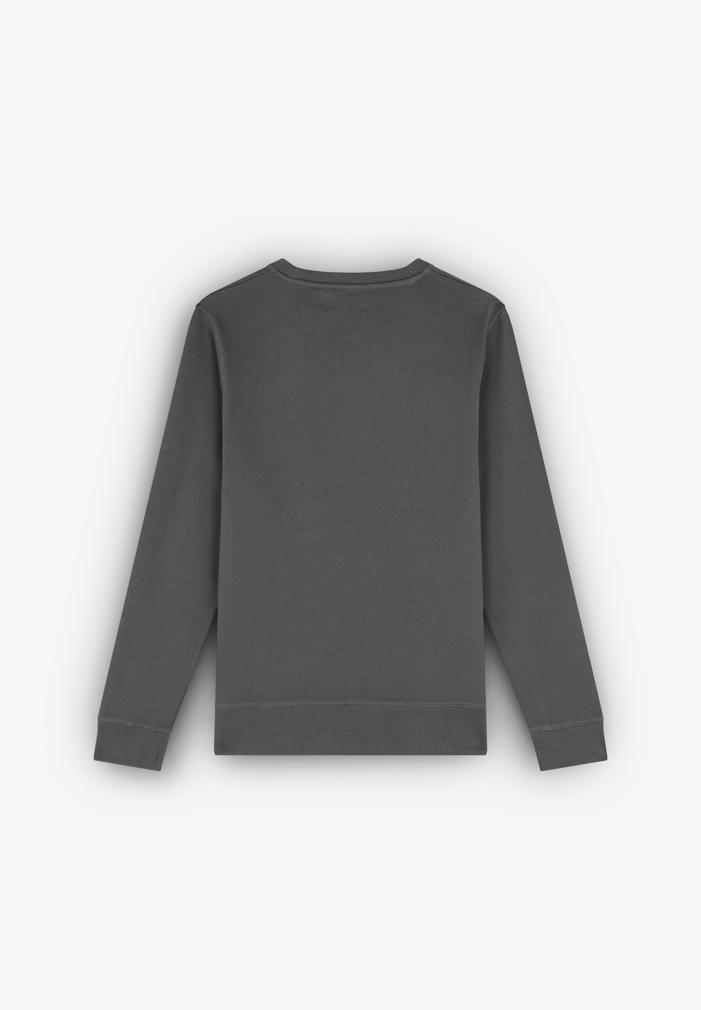 BASIC SWEATSHIRT WITH EMBROIDERED SKULL