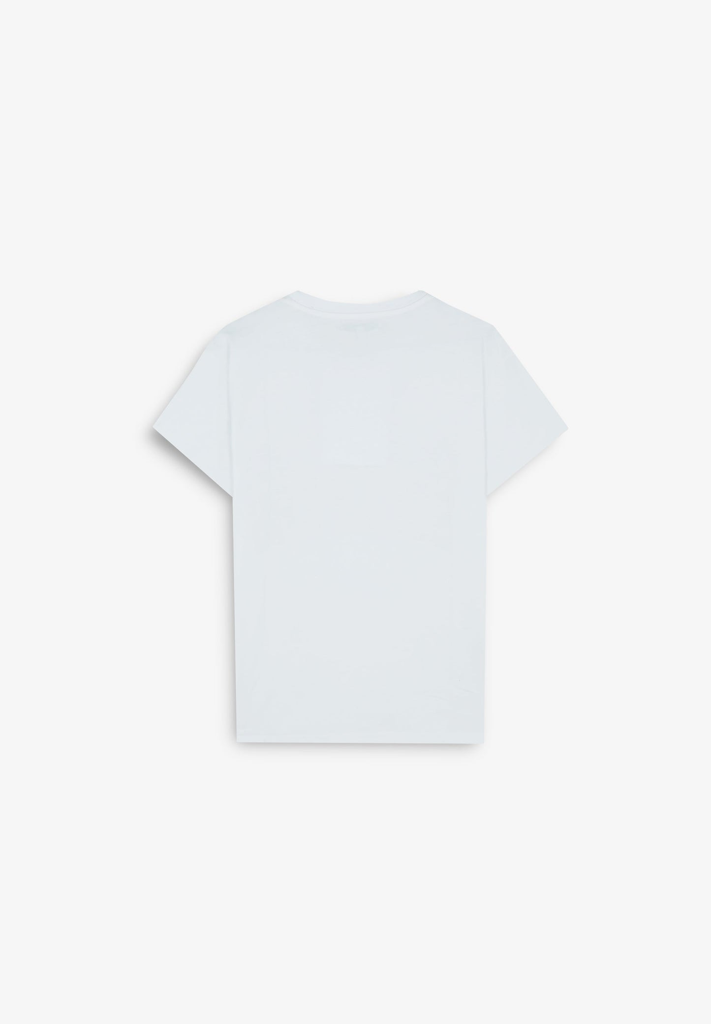 TEE SCBLAZE