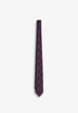 SC PAISLEY TIE