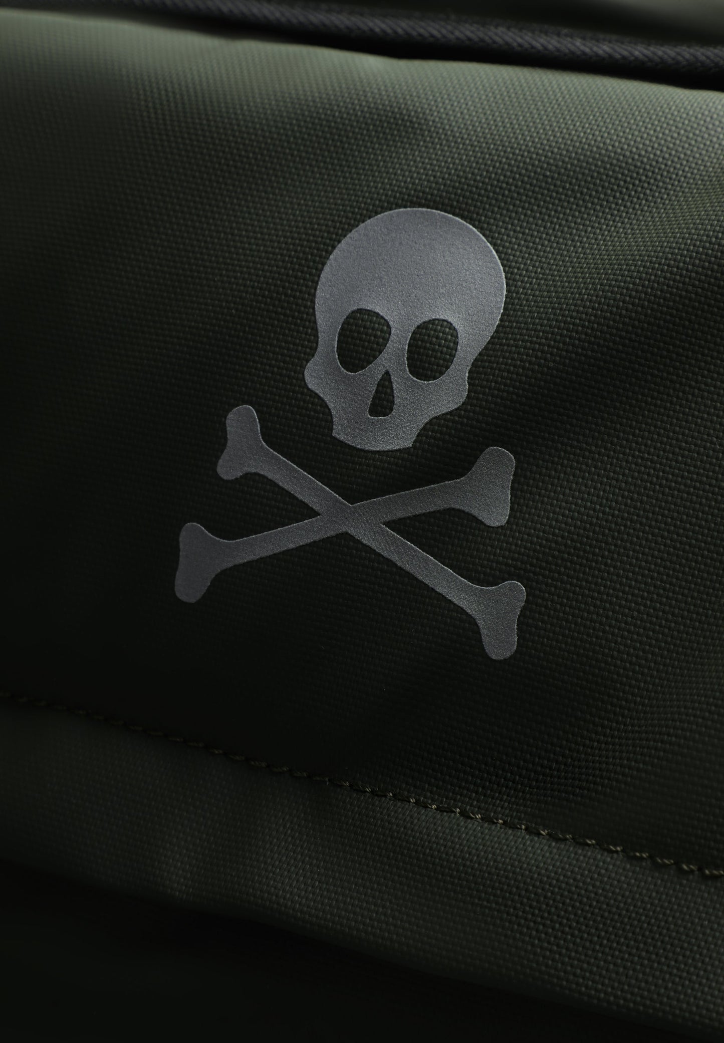 SKULL CABIN BAG