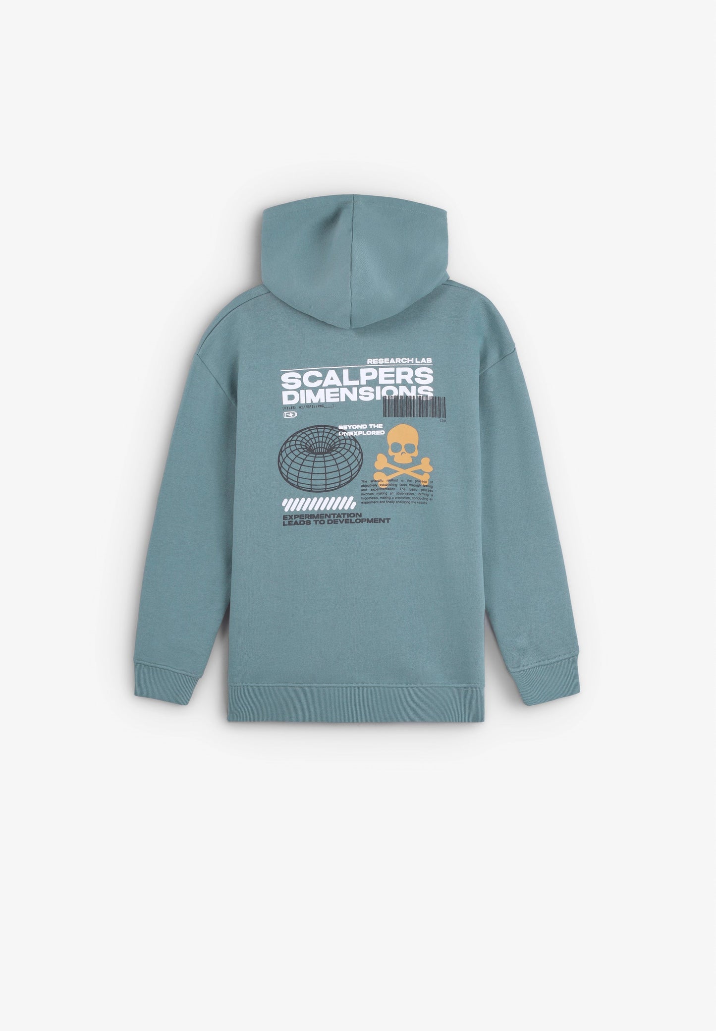 HOODY MIT KAPUZE UND PRINT