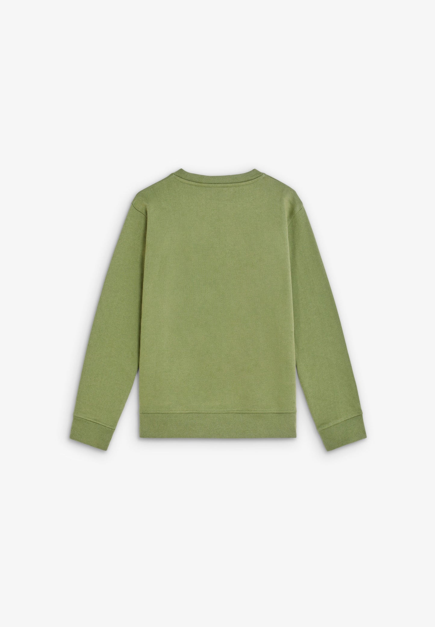 SCZEBRASKULLSW GIRLS