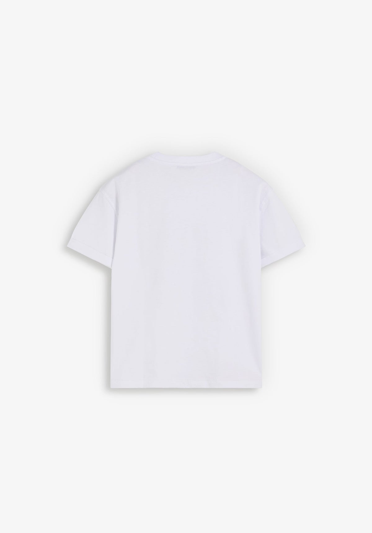 SCTRIZE PASLEY SKULL TEE