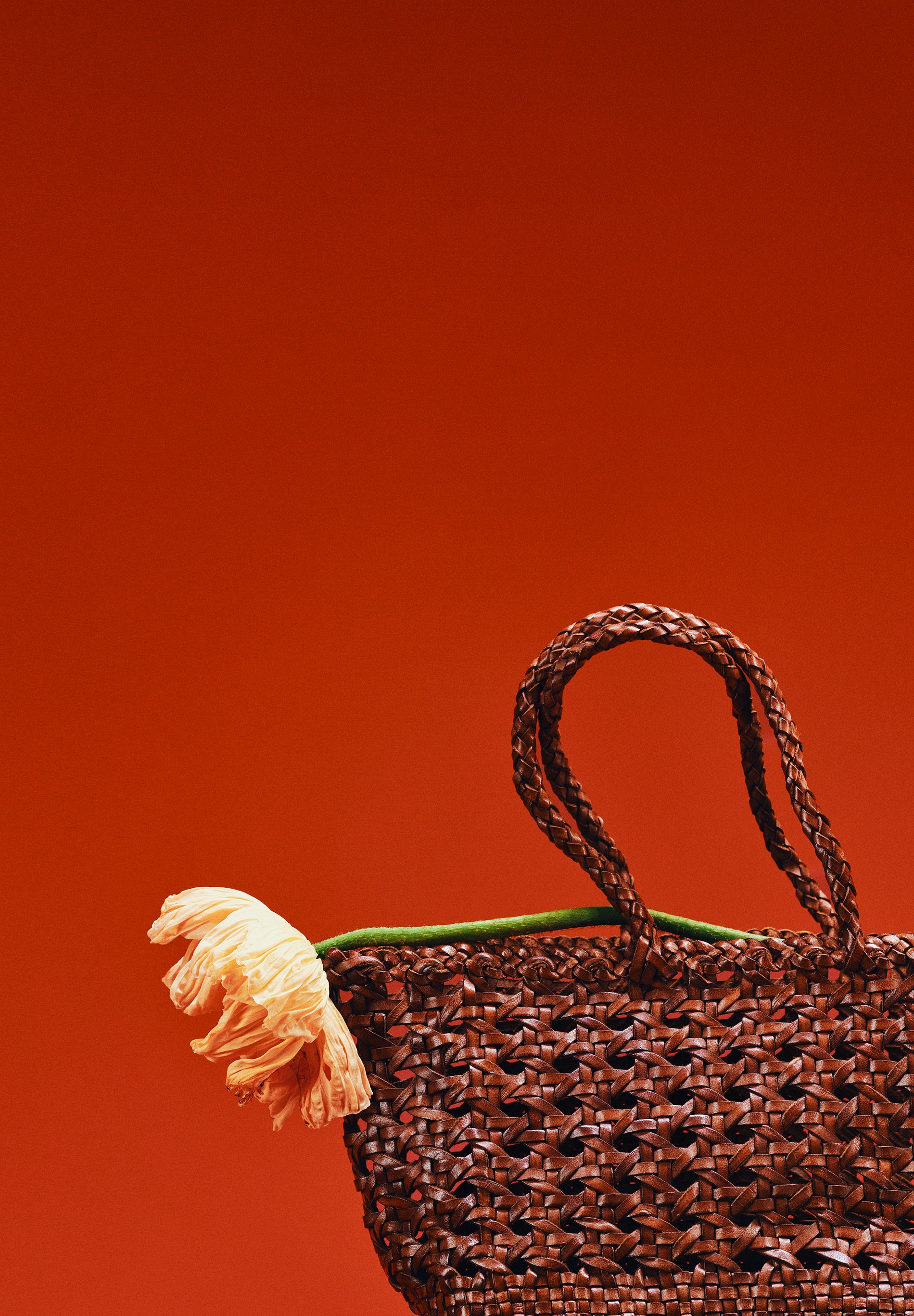 BRAIDED LEATHER BAG