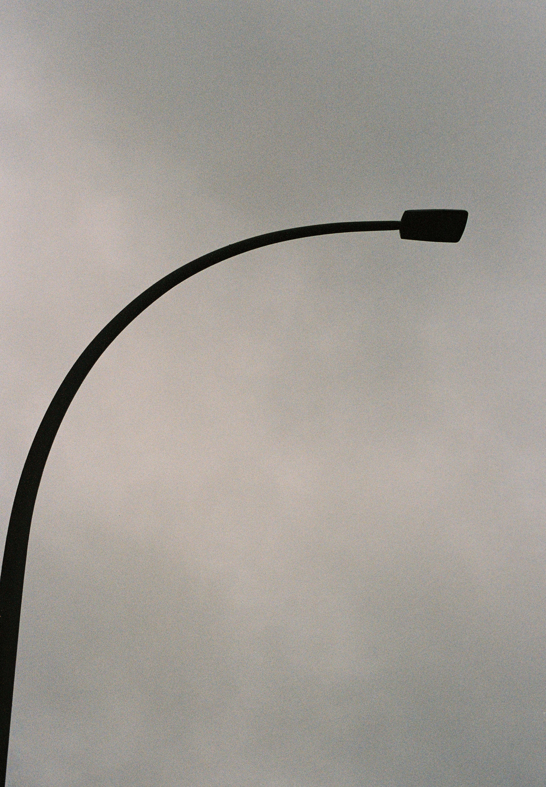 LEATHER BOMBER JACKET WITH RUFFLES