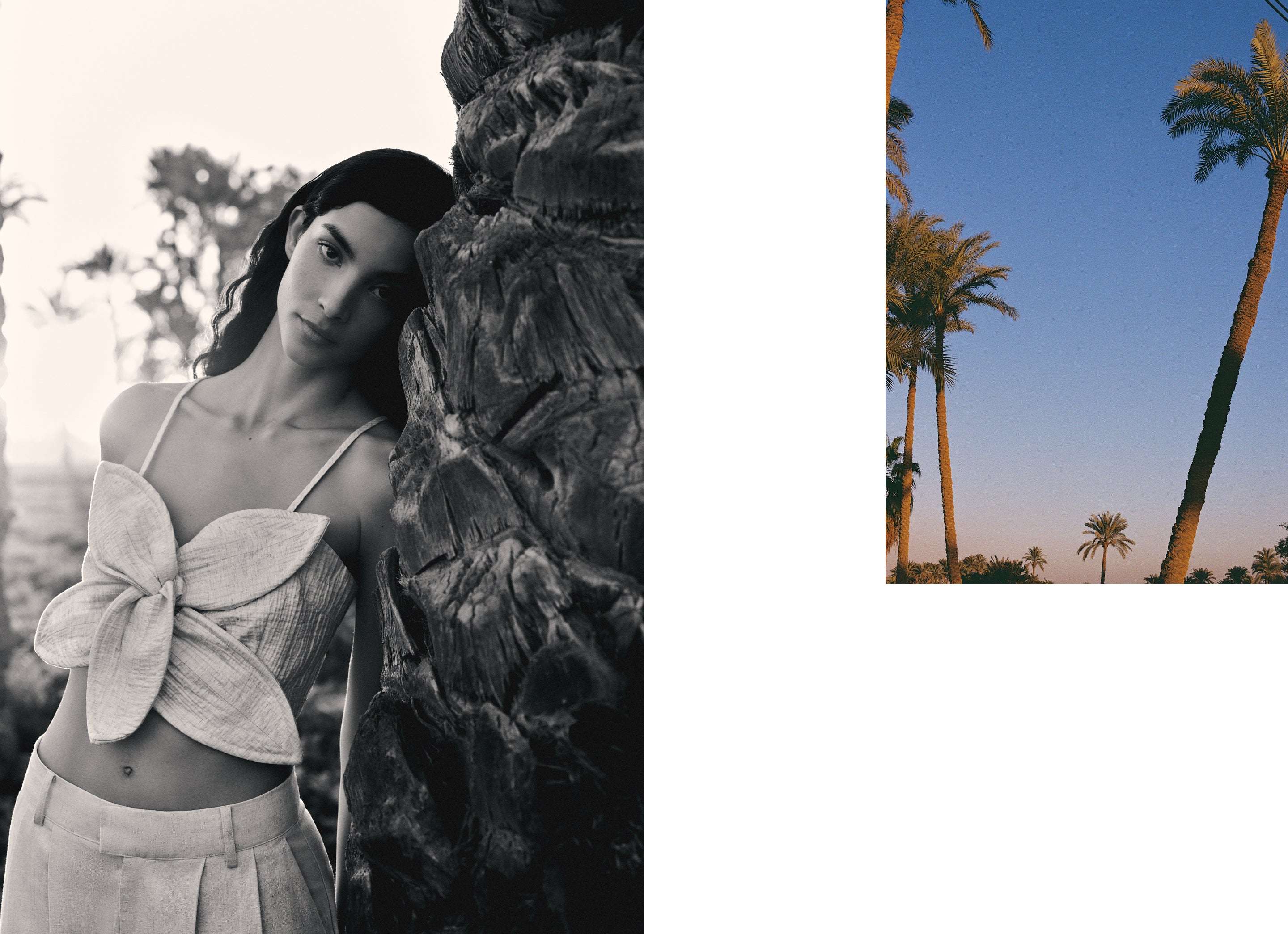 des_150326_cairo_m_20