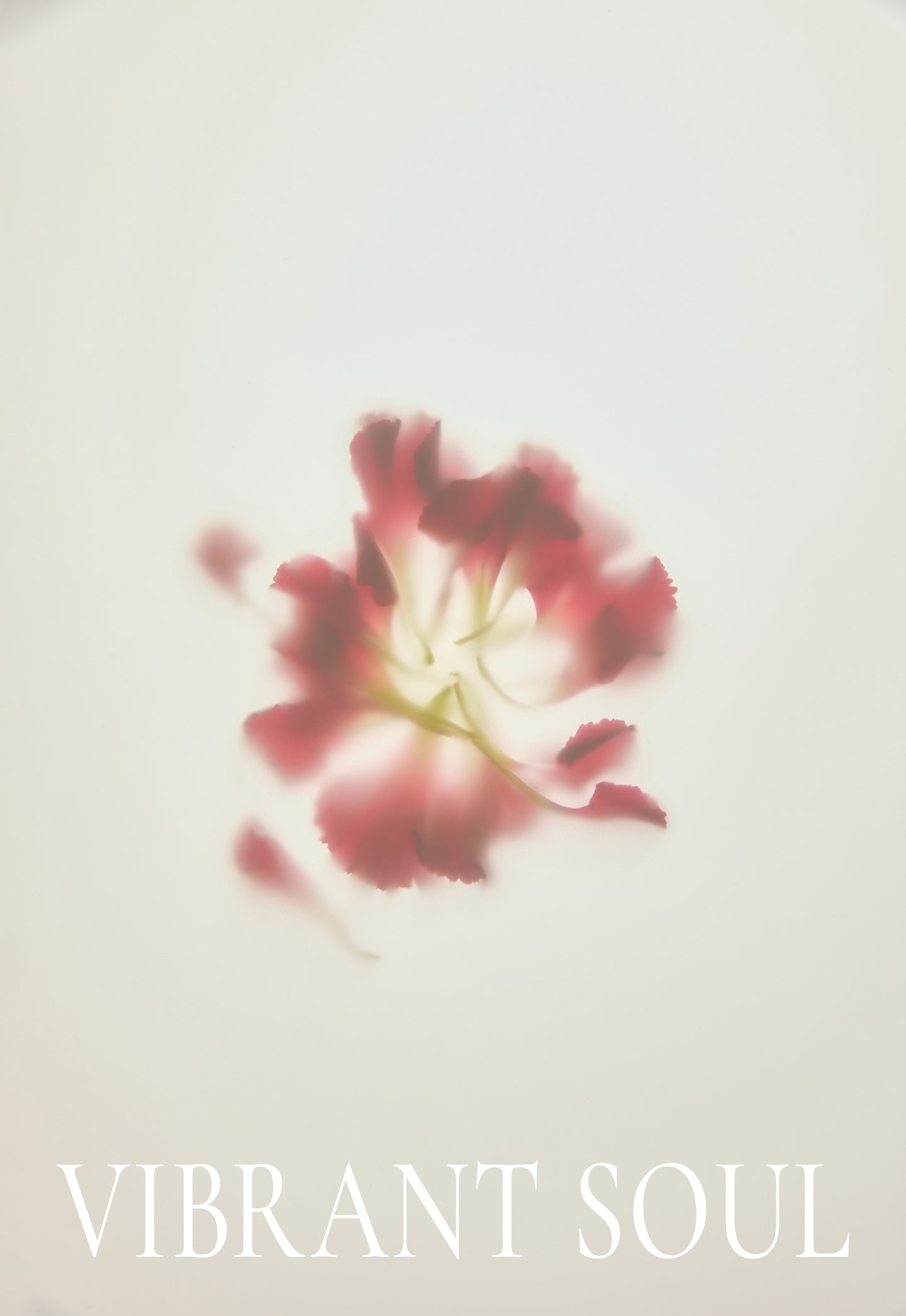 GEOMETRIC CLUTCH BAG