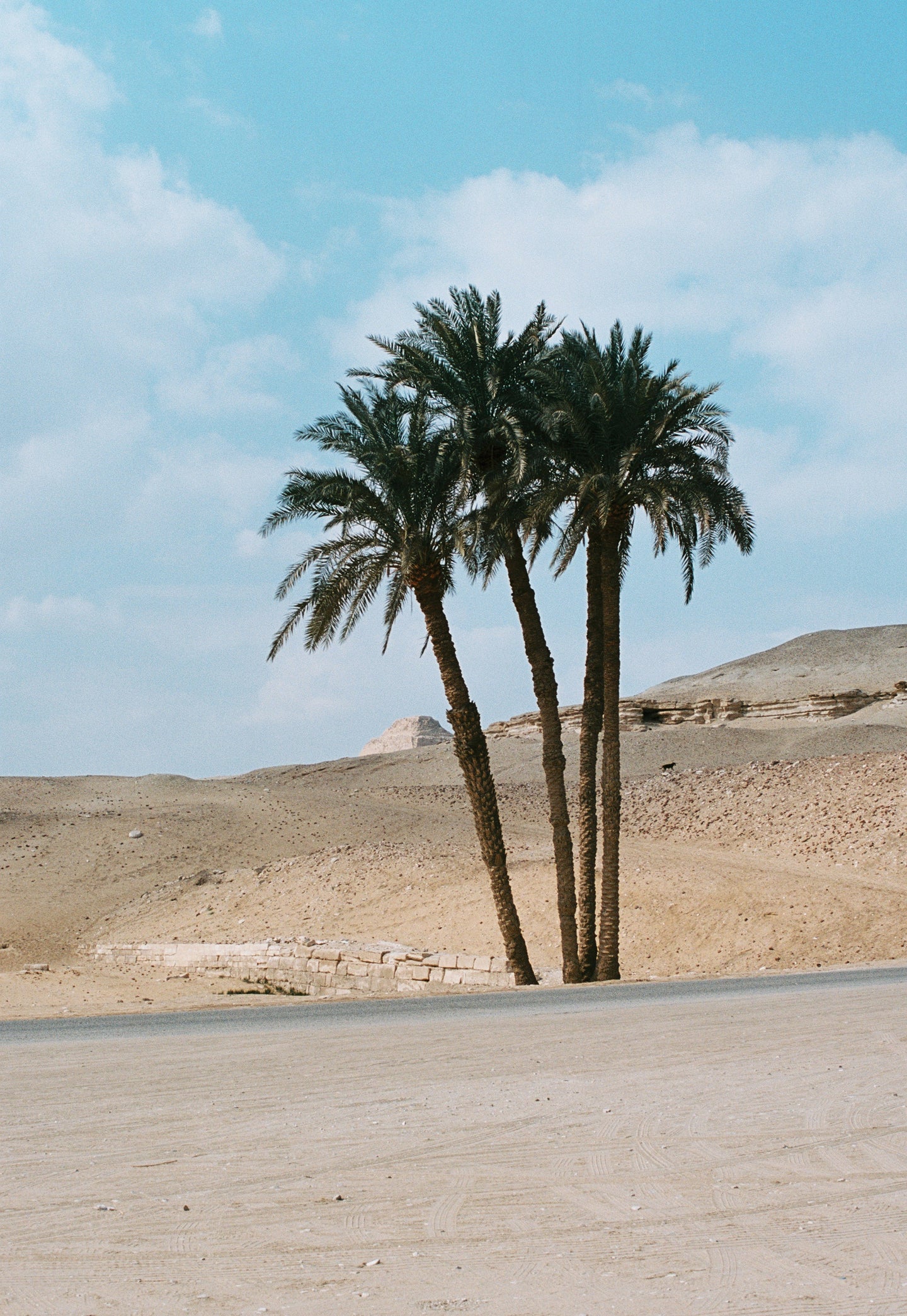 GILET ASIMMETRICO BROCCATO