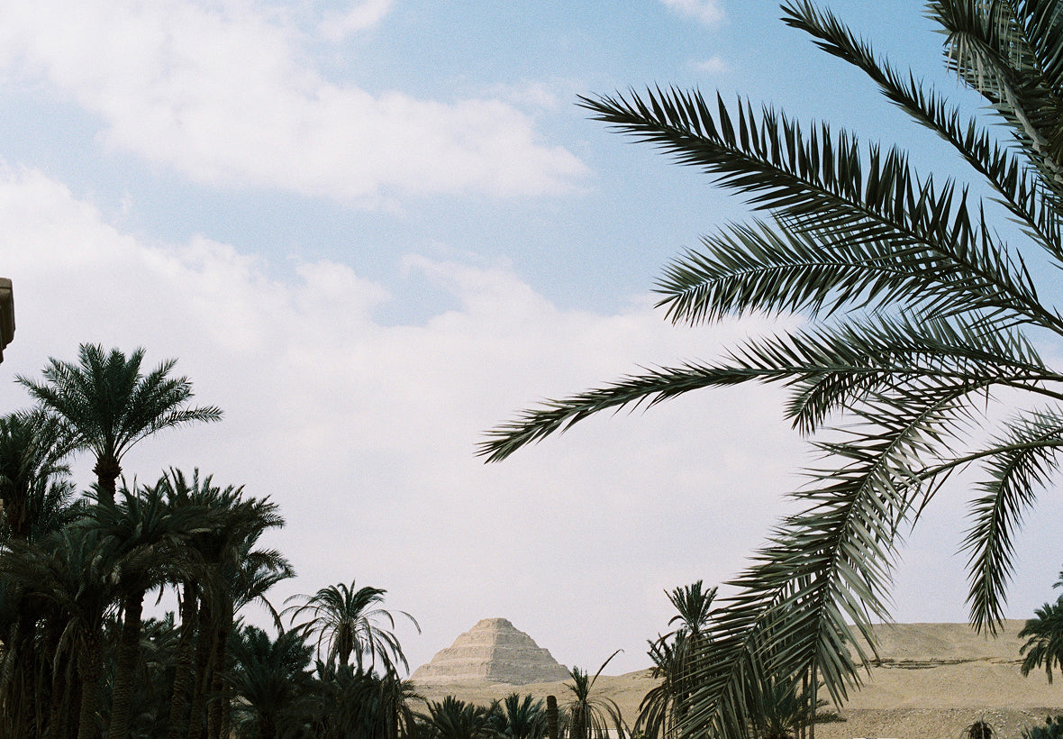 mob_150326_cairo_m_16